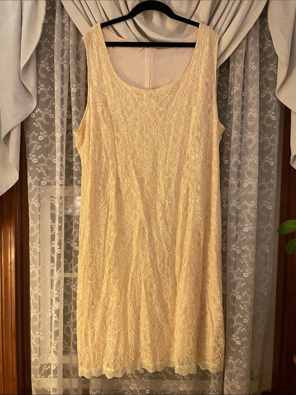 ❤️5 for $20❤️Sleeveless Lace Dress in Pale Yellow